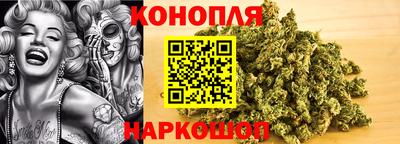 шишки Бузулук