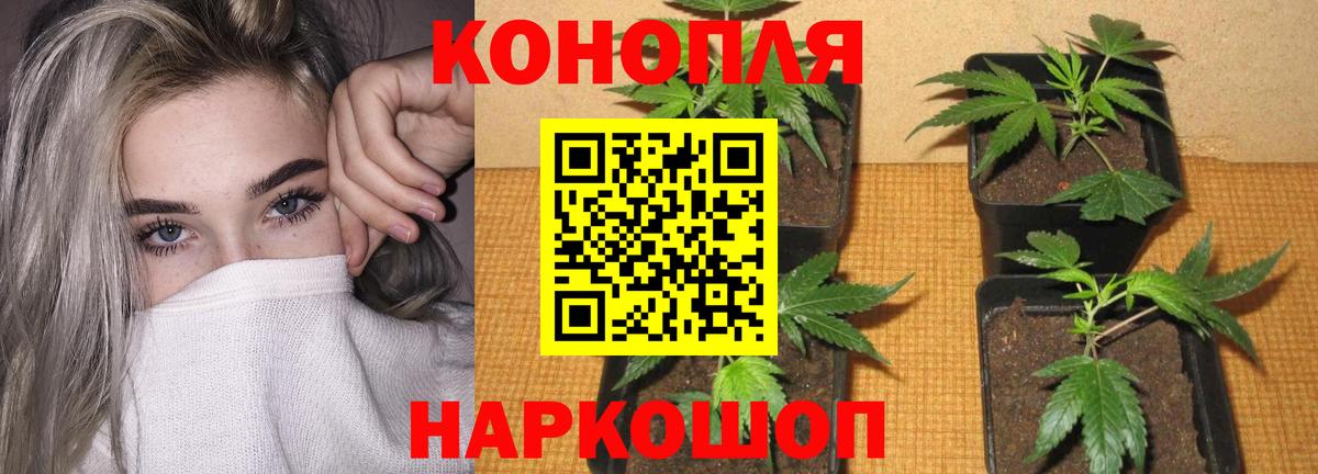 Бошки Шишки семена  Бошки марихуана план  Конопля White Widow  Каннабис план  Вход с VPN  Ленинск-Кузнецкий 